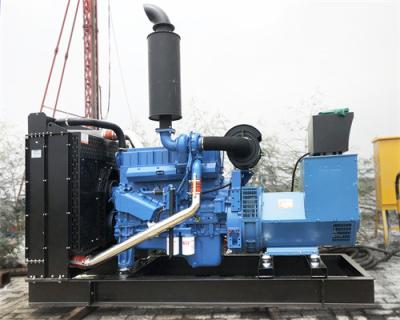 China Factory direct sale high standard 2022 modern design portable diesel generator 200Kw 250 for sale