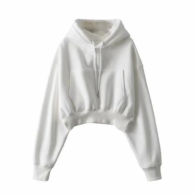 China Women's autumn and winter plush solid color loose sweater windproof shorts Korean version hooded hoodie for sale