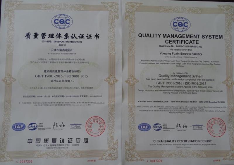 ISO9001 - Yueqing Fuxin Electric Factory