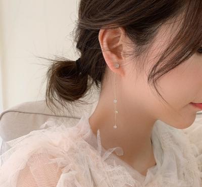 China Korea S925 needle silver flower of fringed female pendant hyperbola online 2021 spring full diamond long earrings earrings. for sale