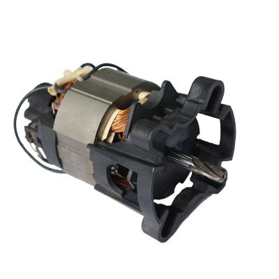 China Household China Manufacturer Home Application 110V~240V AC Series Electric Juicer Motor for sale