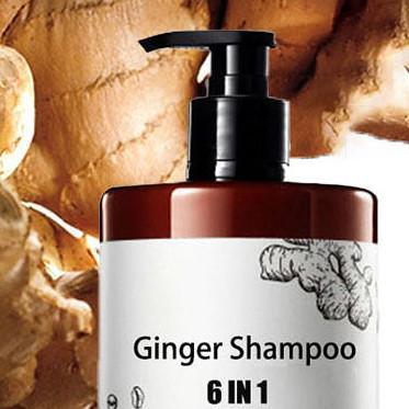 China Organic Ginger Anti Hair Loss Shampoo for Men and Women Unisex Adults Vegan Hair Care for sale