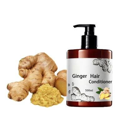 China Hair-Loss Prevention 2-IN-1 Formula Organic Ginger Shampoo for Professional Hair Care for sale