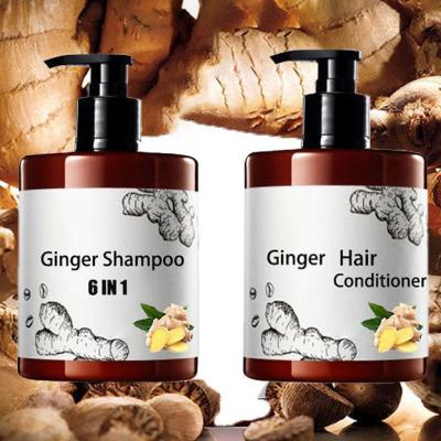 China All Hair Types Anti-hair Loss Organic Hair Care Set with Ginger Shampoo and Conditioner for sale