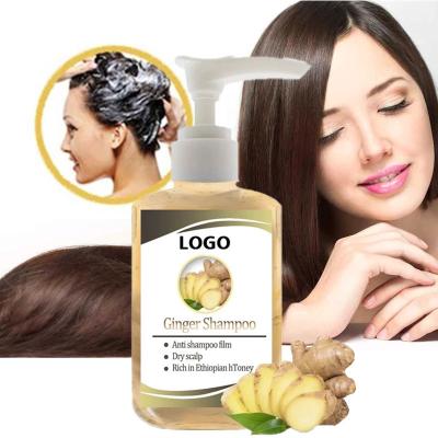 China Smoothing Private Label Custom Vegan Hair Care Treatment Products Hair Growth Organic Anti Hair Loss Ginger Shampoo And Conditioner Set for sale