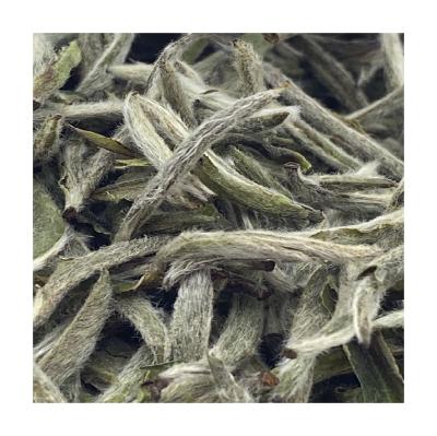 China Princess Shao New Tea Spring Picking Gaoshan White Silver Needle Cake Tea Cake Baihao Fuding White Tea for sale