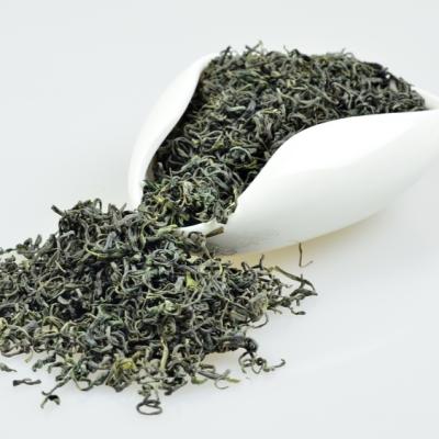 China Jasmine Tea Green Tea For Weight Loss Tea Bags From China Best Green Tea Supplier for sale