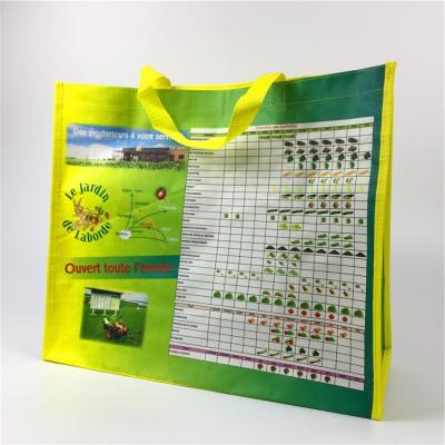 China New Design Durable Handled Algeria Laminated Reusable Bags PP Woven for sale