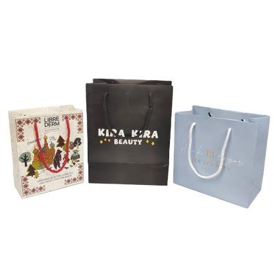 China 2022 Recyclable Custom Logo Paper Bags Packaging Pharmacy Paper Shopping Bag for sale