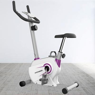 China Hot Sale Home Use Exercise Fitness Magnetic Resistance Bike Workout Indoor Spinning Exercise Bike for sale