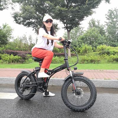 China 2021 standard fat tire electric dirt bike bicicleta electrica electrica off road electric bike for sale