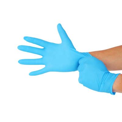 China Hot Selling Personal Care Powder Powder Free Latex Examination Nitrile Gloves Vinyl Gloves for sale