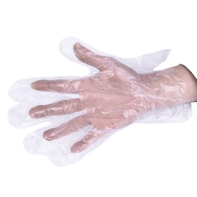 China Lightweight PE Gloves Disposable Gloves Transparent Plastic Gloves for sale