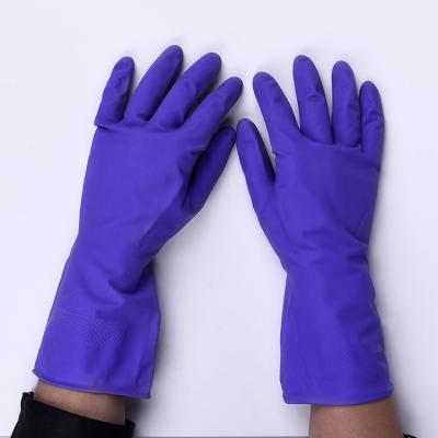 China Promotional Cheap Purple Latex Gloves Household Work Cleanroom Extra Long Latex Gloves for sale