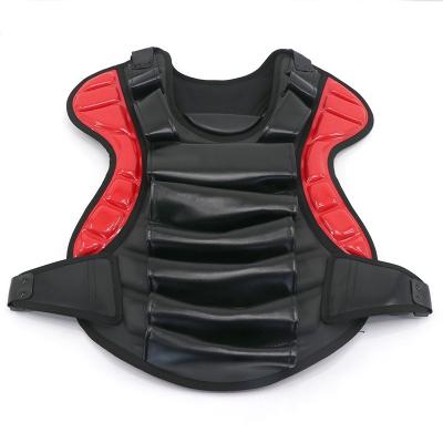 China Professional Adult Motorcycle Protective Gear Biker Safety Protective Gear China Manufacture for sale