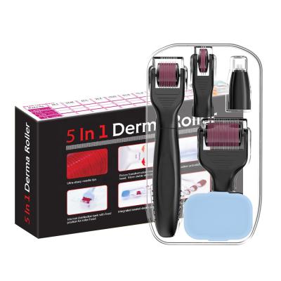 China 5 Blood Vessels Removal In 1 Kit Micro Roller Factory Direct Wholesale Skin Teasing Derma Hair Loss Treatment Derma Roller for sale