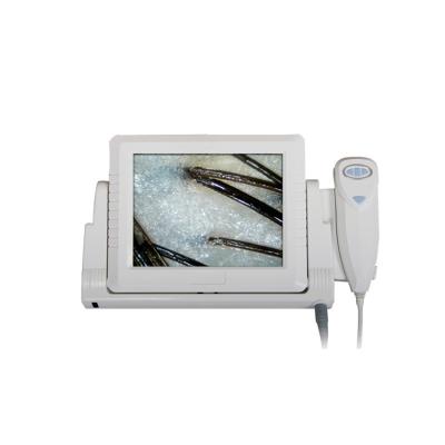 China Acne Analysis SA-S03 Led Screen Portable Digital Skin Analyzer Skin Iris Hair Analysis Machine for sale