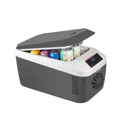 China 16-20â „ ƒ Below Ambient 12L 12V 220v Portable Plastic Outdoor Cooler Box Cooler Small Car Vehicle Refrigerator for sale