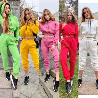 China Anti-Wrinkle Design Hooded Girls Women Sport Solid Color Hip Hop Women Tracksuits Sweatsuits Training Pants Sweater Suit for sale