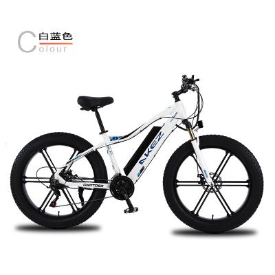 China Aluminum Alloy Electric Mountain Bike 750W Battery Hidden EBike, Electric Motor Bike 48V for sale