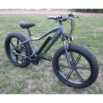 China Cheap Sale 1 Buyer 750w Super Power Aluminum Alloy Bomber Electric Bike Program Electric Bike for sale