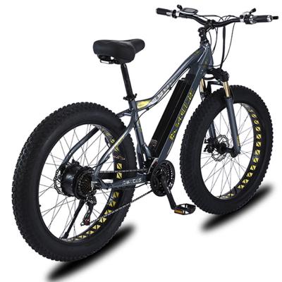 China China OEM Aluminum Alloy Fat Tire Mountain Electric Snow Bike 48V 750w Summer Electric Dirt Bikes For Adult for sale