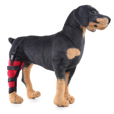 China Stocked Comfortable Pet Joint Pad Leg Dog Knee Brace Pad for sale