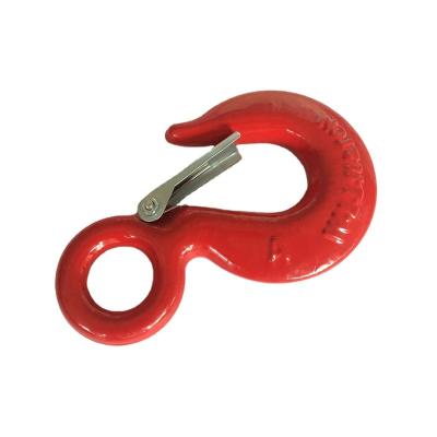 China OEM 2020 US Custom Type Galvanized Drop Forged Crane Eye Hook With Lock for sale