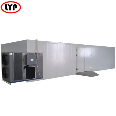 China Dewater Fruit China Supply Energy Efficient Heat Pump Type Food Drier Chamber for sale