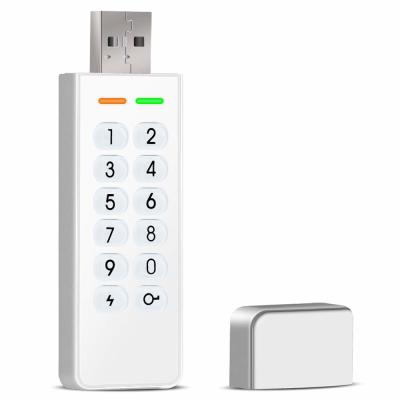 China Datage High Level AES 256bit Password Encryption Flash USB Key Drive Encripted USB 2.0 Disk White for sale