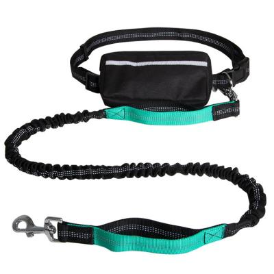 China Professional Durable Metal Quality Rope Waist Bag Personalized Nylon Dog Leash Plastic for sale