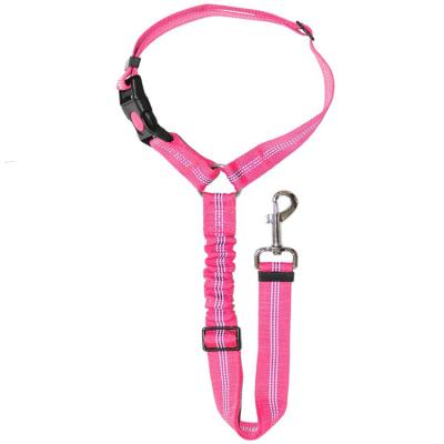 China Stocked Nylon Dog Leash Rope Dog Leashes for sale