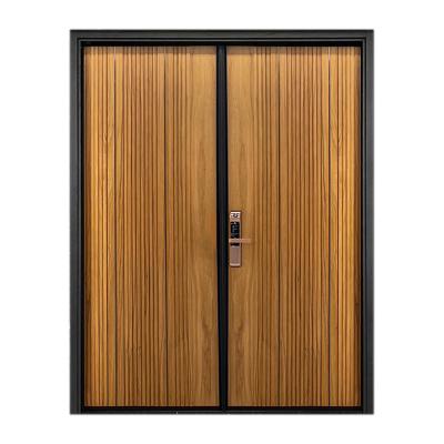 China Null Taiwan Brand Simple Design Front Entry Doors-H3 Brand New Lake Water Double-Door Entry Door for sale