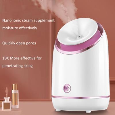 China New Design Wholesale Hot Sale Electric Facial Steamer Professional Portable Facial Steamer for sale