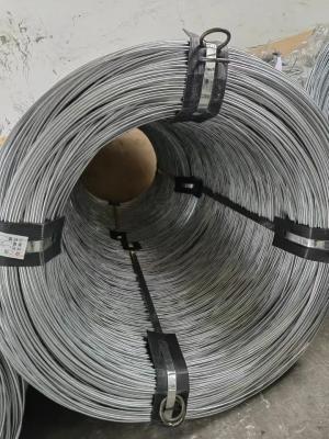 China BWG20 21 22 Stainless steel wire Black Annealed Binding Wire 5 - 24 Tons for sale