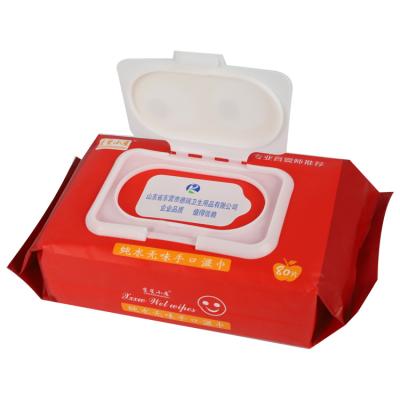 China Baby Wipes Skin Care Package Good Quality Baby Wipe Container Pouch Private Label Heater Case 720 Baby Wipes for sale