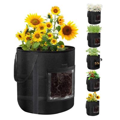 China Factory hot sale good quality pe felt transparent potato grow bag for growing sunflower and strawberry for sale