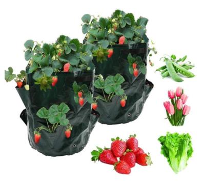 China Plant Fiber PE Strawberry Grow Bags Growing Bag 5 Gallon 7 Gallon 10 Gallon Planting Pots With Window And Handle for sale