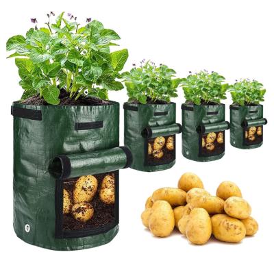 China Fashional Plant Bags Heavy Duty Garden Potato Planters Garden Planting Bags Potato Grow Bags 10 Gallon Fabric Planter Pots for sale