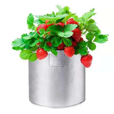 China 3/5/7/10 Gallon Plant Fiber Vegetable Grow Bags Nonwoven Fabric Container Silver Garden Planting Bag For Plant for sale