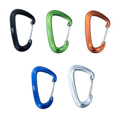 China Heavy Industry Custom Black 12kn 5KN Colorful Black Outdoor Activity Hooks For Hammock Carabiner Black 7075 Thread Aluminum Carabiner Door for sale