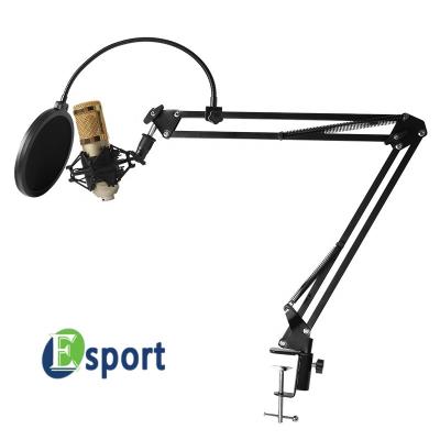 China ESPORT Microphone BM 800 Microphone Studio Handheld Condenser, bm-800 Microphone Super Noise MIC Kit with Arm Stand, Noise Filter BM800 for sale