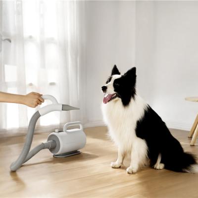 China Viable Low Noise Dog Cat Hair Dryer Smart Pet Grooming Hair Dryer Pet Blower for sale