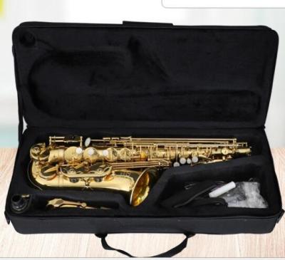 China Double color sale high grade golden whole alto saxophone, musical instruments, wind instruments ABC1102D for sale