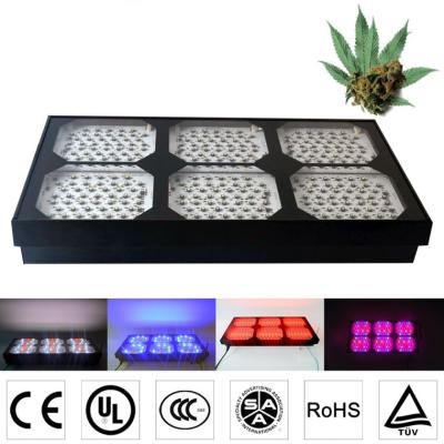 China LED Grow Lights 900W 300*3W Dual Veg/Flower Spectrum For Hydroponics Medical Plant energy saving, intelligence for sale