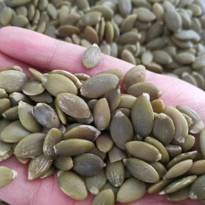 China Factory sale direct dry pumpkin seed kernels shin skin punpkin seeds kernls for sale