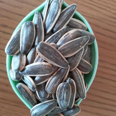 China Bulk type hybrid hing raw 361 CHINESE SEEDS from Inner Mongolia China high quality for sale