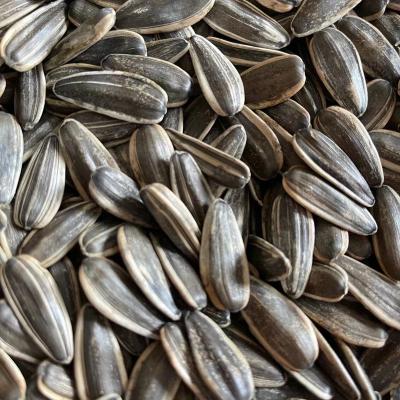 China Supply Chinese2022 New Large Raw Black 361 Cultivation Sunflower Seeds CHINESE SEEDS Sunflower Seeds Kernel for sale