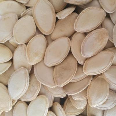 China Chinese High Quality Dry Pumpkin Seed Pumpkin Seed Price for sale