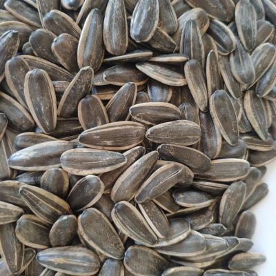 China NA Supply 2022 New Crop Big Size Sunflower Seeds 361raw for sale